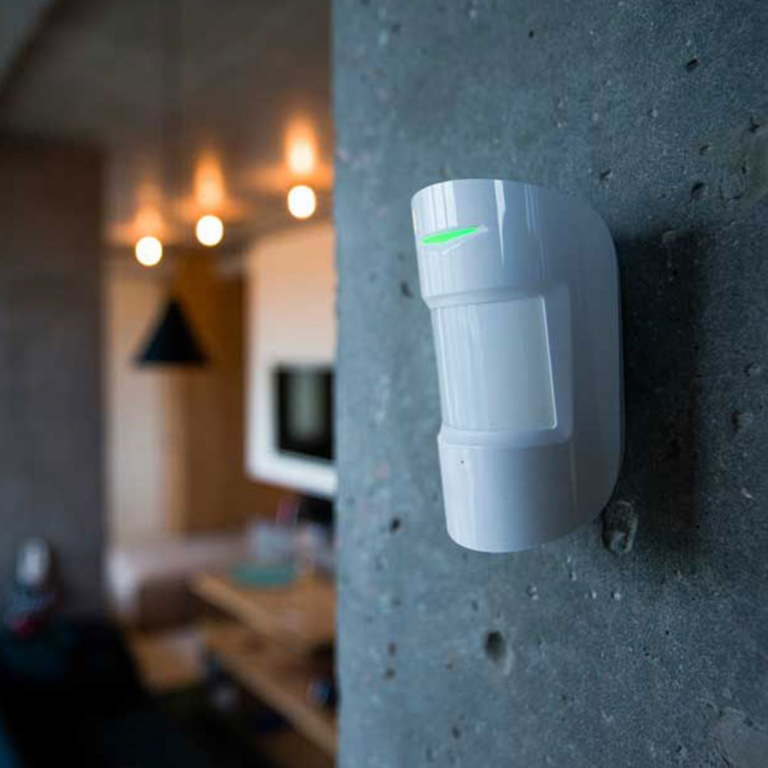 segurança2